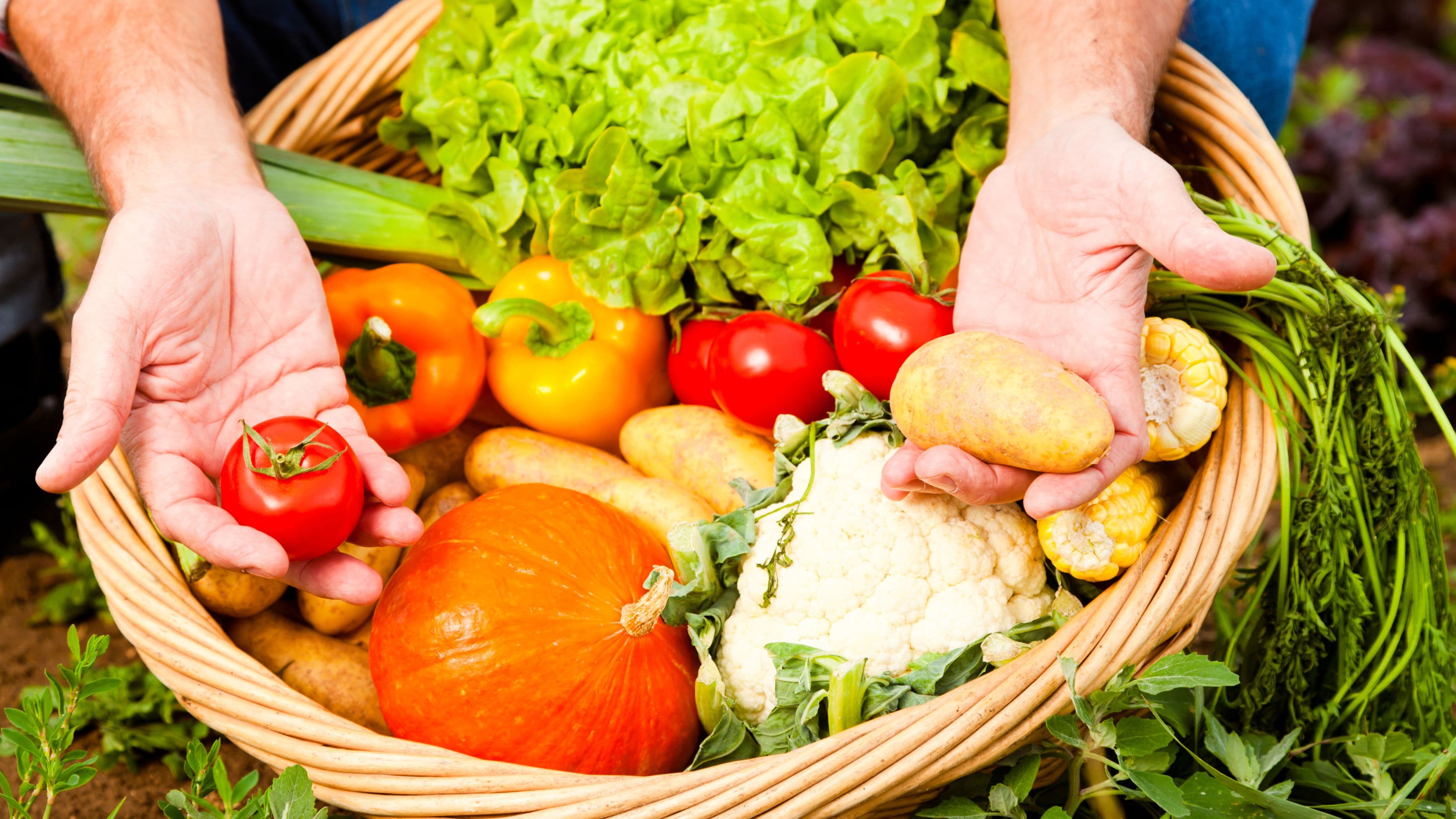 The Seasonal Produce Swap Guide for Year-Round Cooking